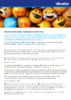 Dictionnaire Emojis.pdf